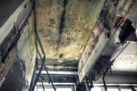 Best Real Estate Mold Inspection  in New Cumberland, PA